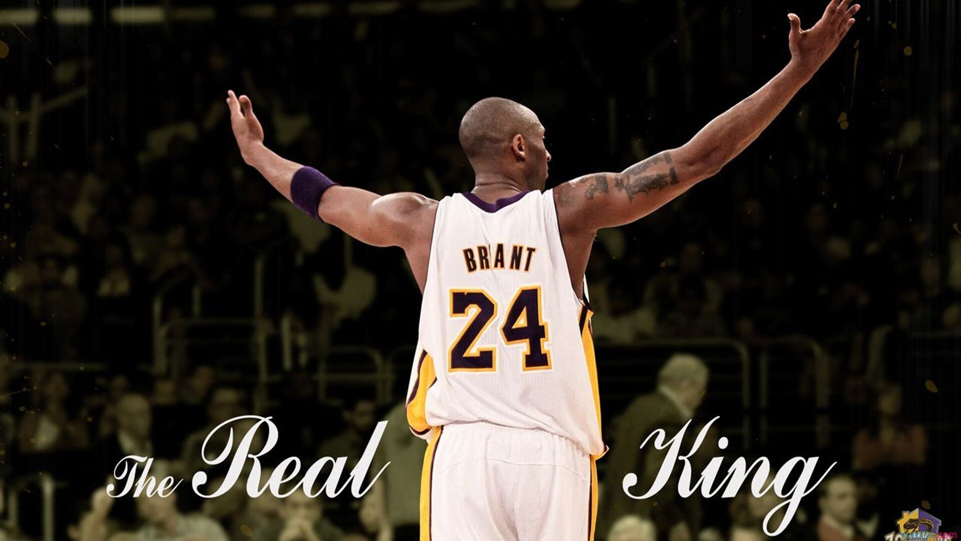 换帅潮:球队管理层的人员调整引发关注,nba换帅